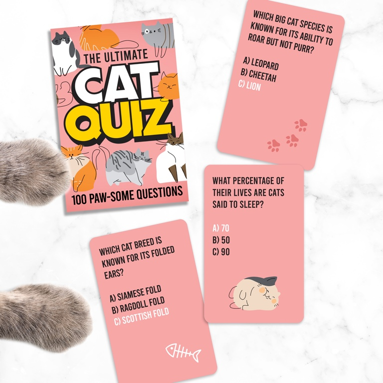 Gift\u0020Republic\u0020Katten\u0020Quizkaarten