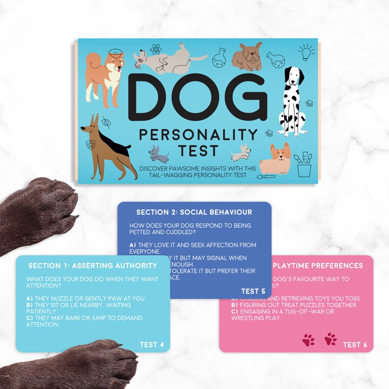 Cadeau\u0020Republiek\u0020Hond\u003A\u0020Huisdier\u0020Persoonlijkheidstest
