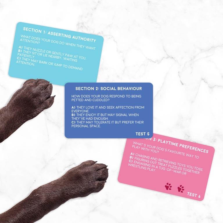 Cadeau\u0020Republiek\u0020Hond\u003A\u0020Huisdier\u0020Persoonlijkheidstest
