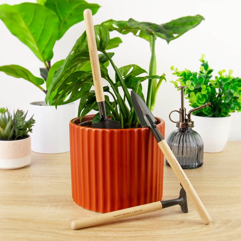Gift\u0020Republic\u0020Plant\u0020Parent\u0020Care\u0020Kit