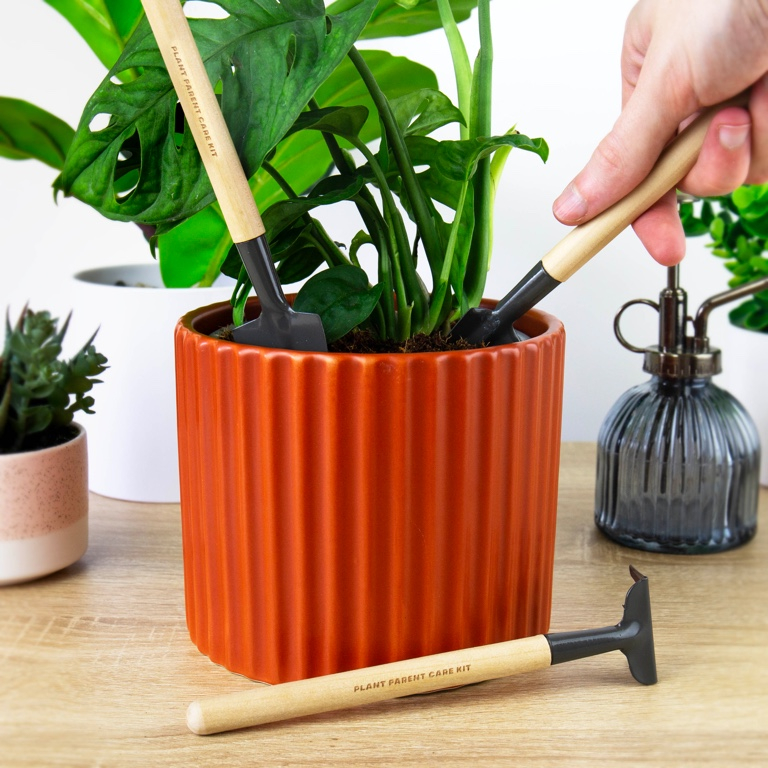 Gift\u0020Republic\u0020Plant\u0020Parent\u0020Care\u0020Kit