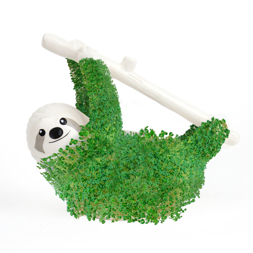 Gift\u0020Republic\u0020Luiaard\u0020Planter\u0020Component