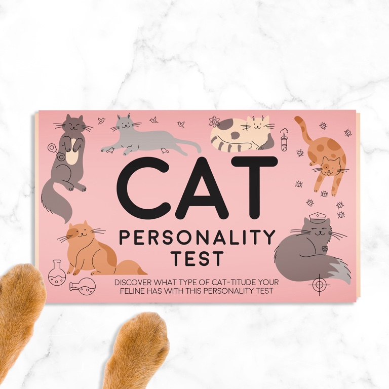 Gift\u0020Republic\u0020Cat\u003A\u0020Huisdier\u0020Persoonlijkheidstest