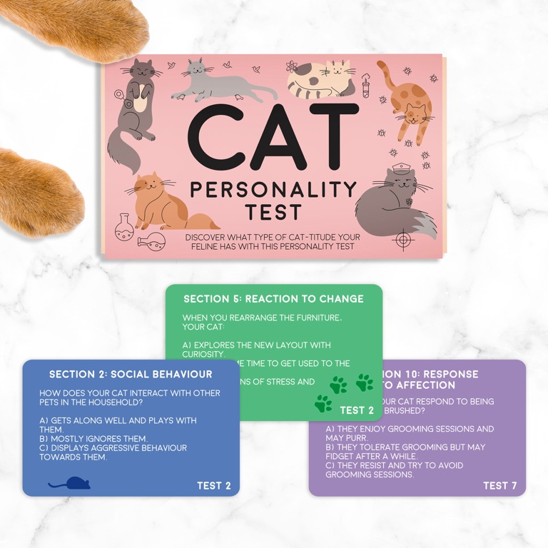 Gift\u0020Republic\u0020Cat\u003A\u0020Huisdier\u0020Persoonlijkheidstest