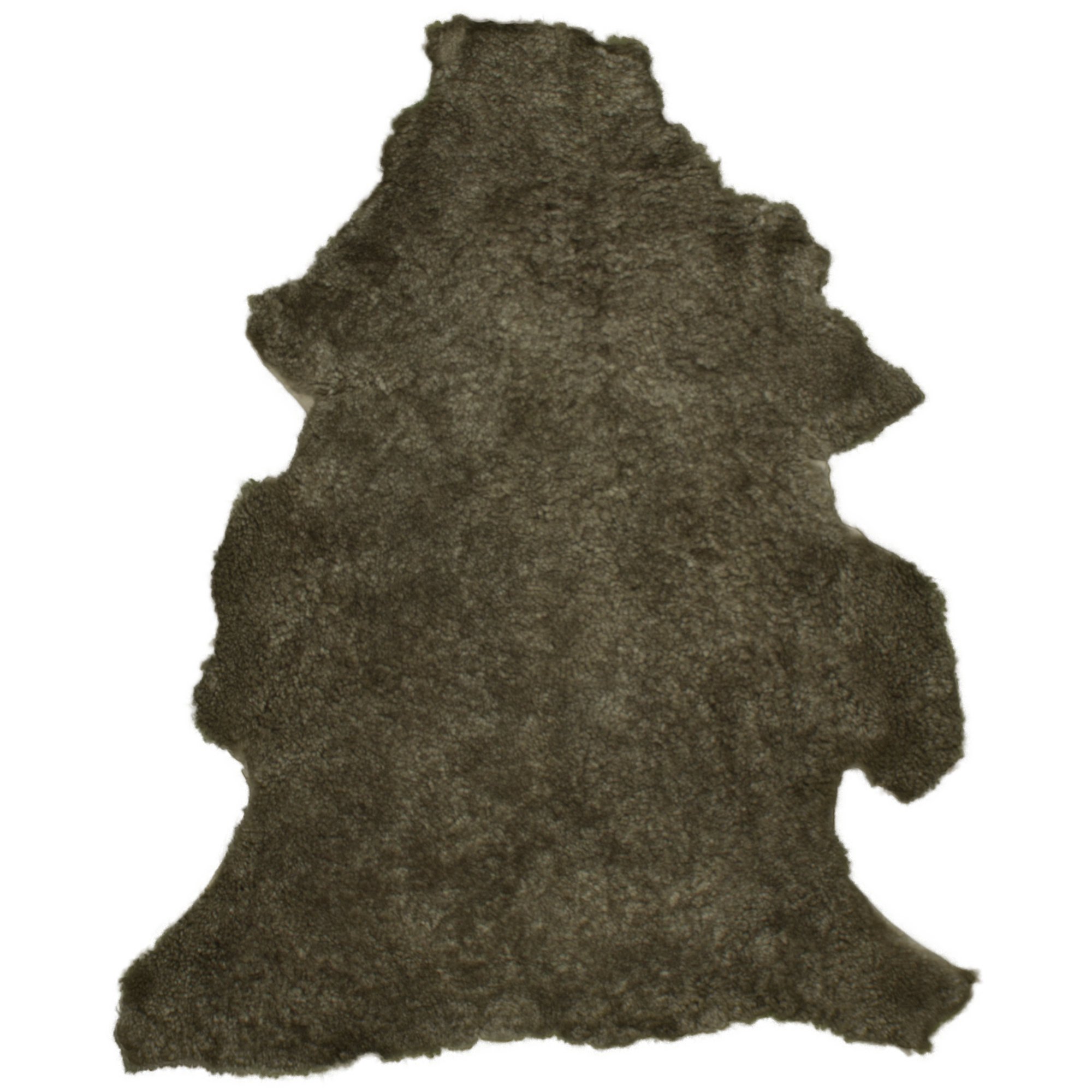 Kruising\u0020Schapenvacht\u0020Sahara