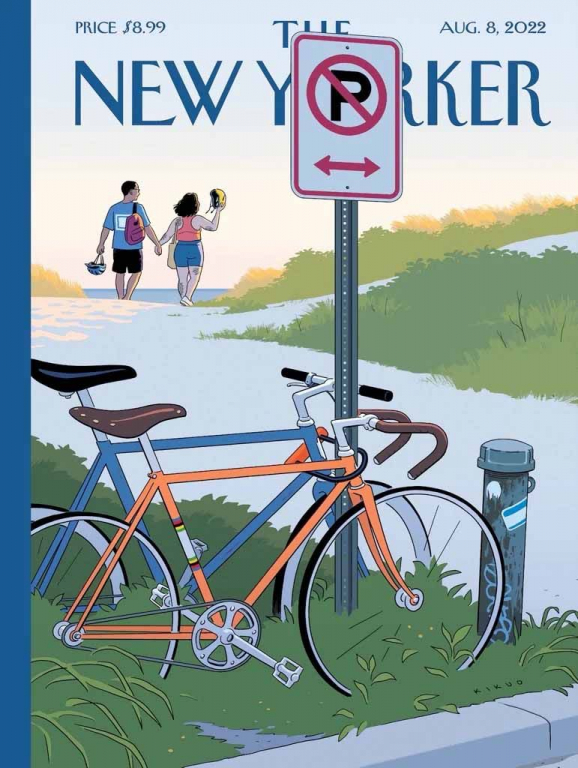 New\u0020York\u0020Puzzle\u0020Company\u0020Puzzel\u0020Dubbel\u0020geparkeerd\u0020\u002D\u0020500\u0020stukjes