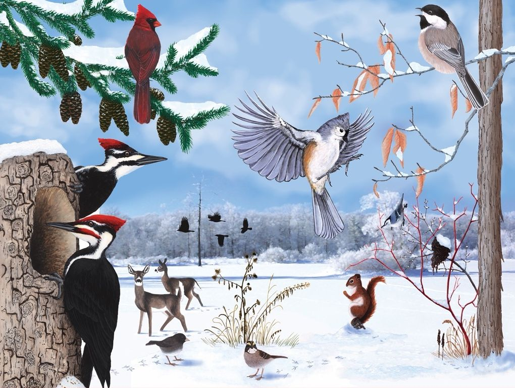 New\u0020York\u0020Puzzle\u0020Company\u0020Puzzel\u0020Winterpad\u0020\u002D\u00201000\u0020stukjes