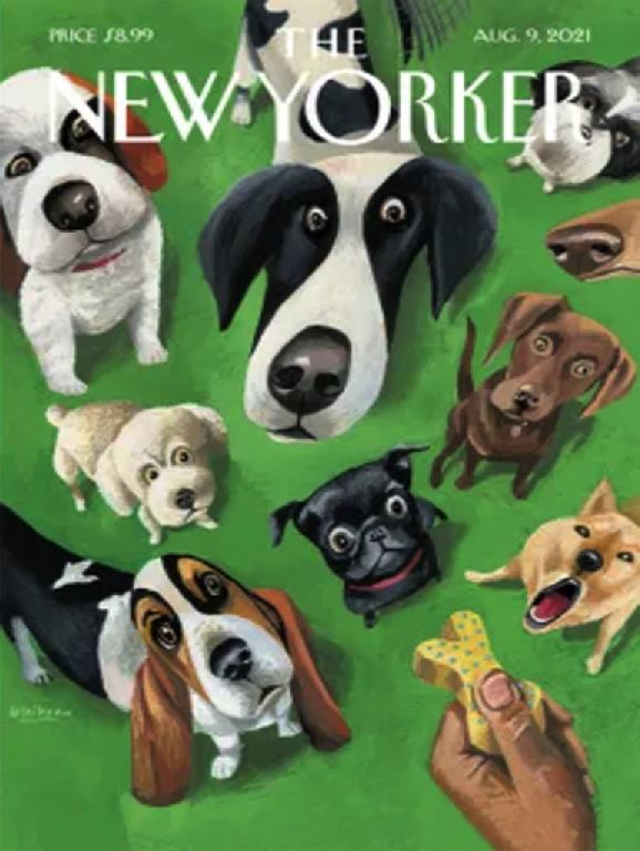 New\u0020York\u0020Puzzle\u0020Company\u0020Puzzel\u0020Zomerse\u0020traktatie\u0020\u002D\u0020500\u0020stukjes
