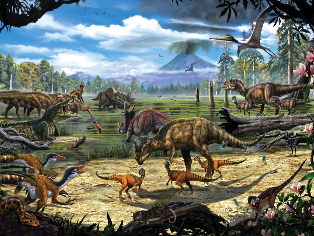 New\u0020York\u0020Puzzle\u0020Company\u0020Puzzel\u0020Dinosaurusstrand\u0020\u002D\u0020200\u0020stukjes