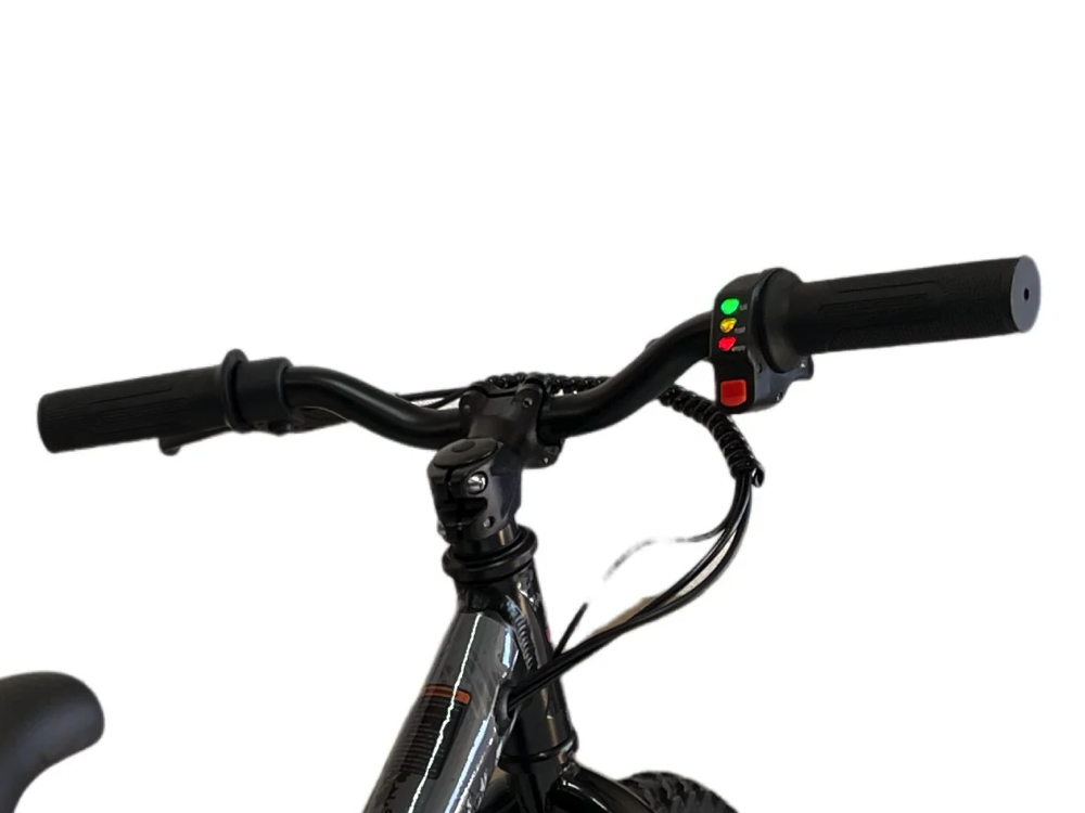 24\u002Dvolt\u0020elektrische\u0020loopfiets\u0020met\u002016\u002Dinch\u0020wielen\u0020en\u0020elektrische\u0020motor\u0020\u002D\u0020zwart