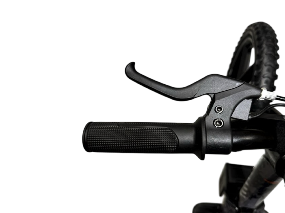 24\u002Dvolt\u0020elektrische\u0020loopfiets\u0020met\u002016\u002Dinch\u0020wielen\u0020en\u0020elektrische\u0020motor\u0020\u002D\u0020zwart