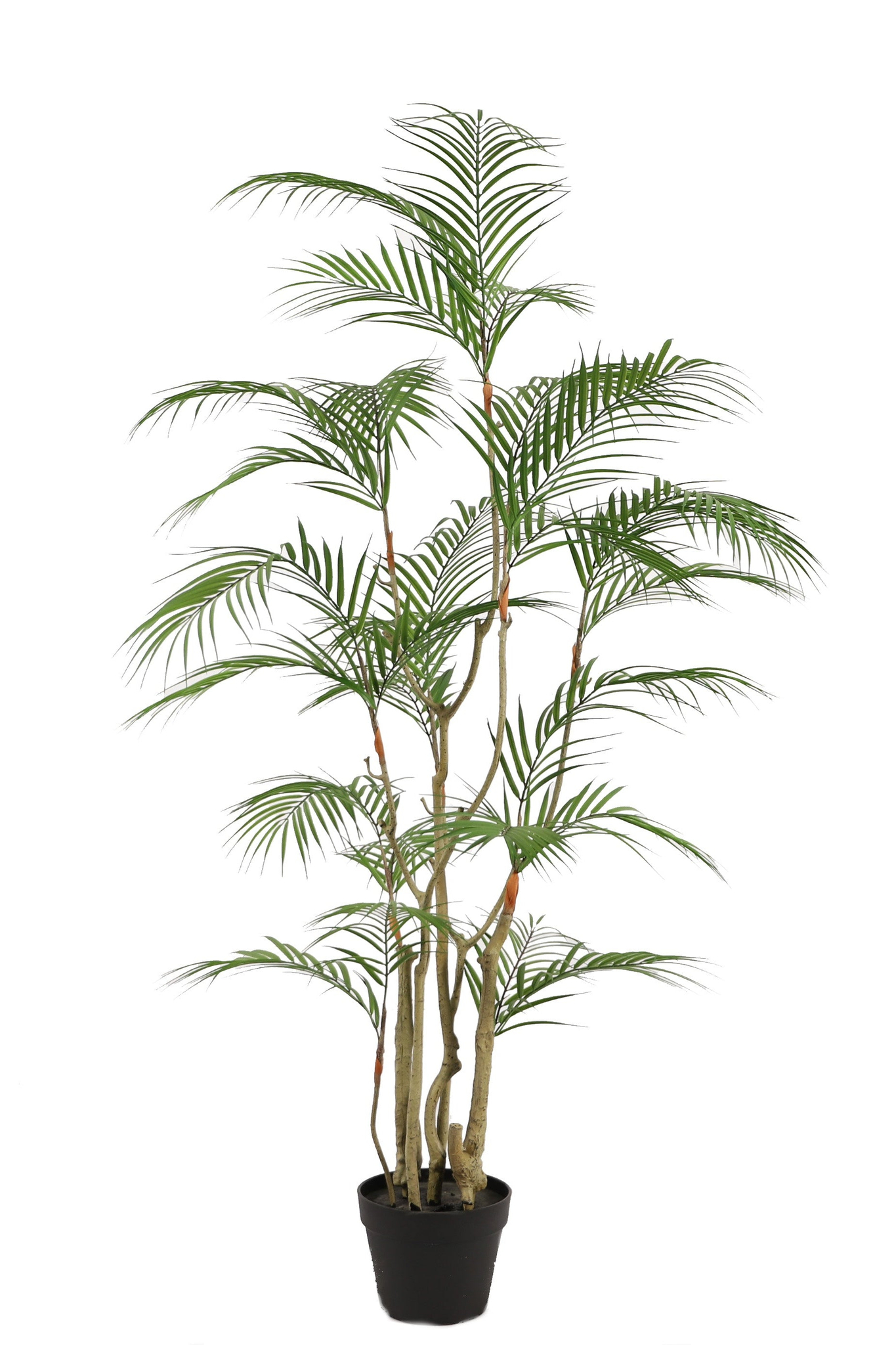 Tropische\u0020Areca\u0020palm\u0020kunstplant\u0020140\u0020cm