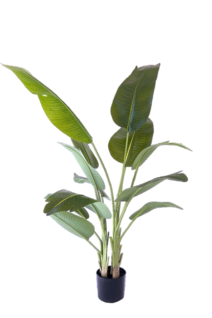 Kunstplant\u0020Strelitzia\u0020180\u0020cm,\u0020realistisch\u0020aanvoelend