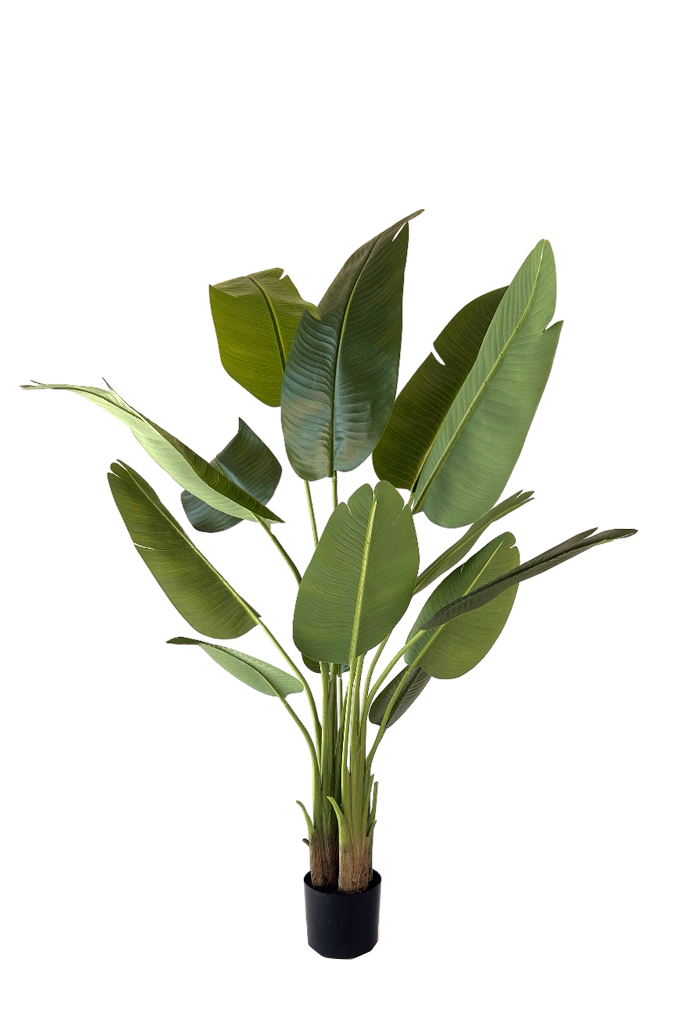 Kunstplant\u0020Strelitzia\u0020150\u0020cm\u0020met\u0020real\u002Dtouch