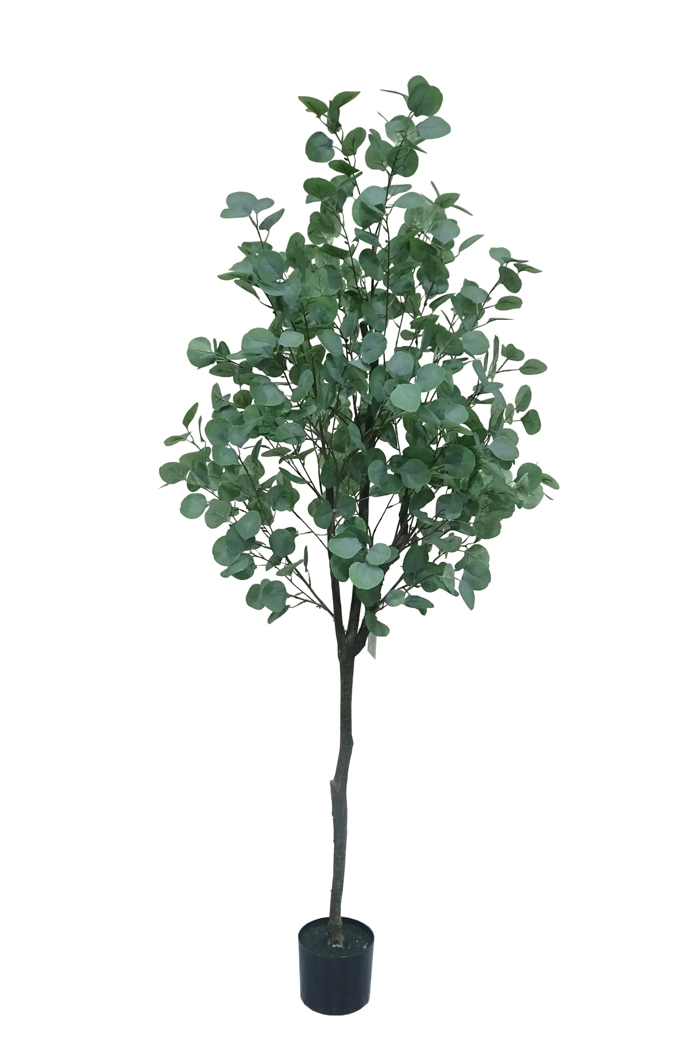 Kunstplant\u0020geldboom\u0020180\u0020cm