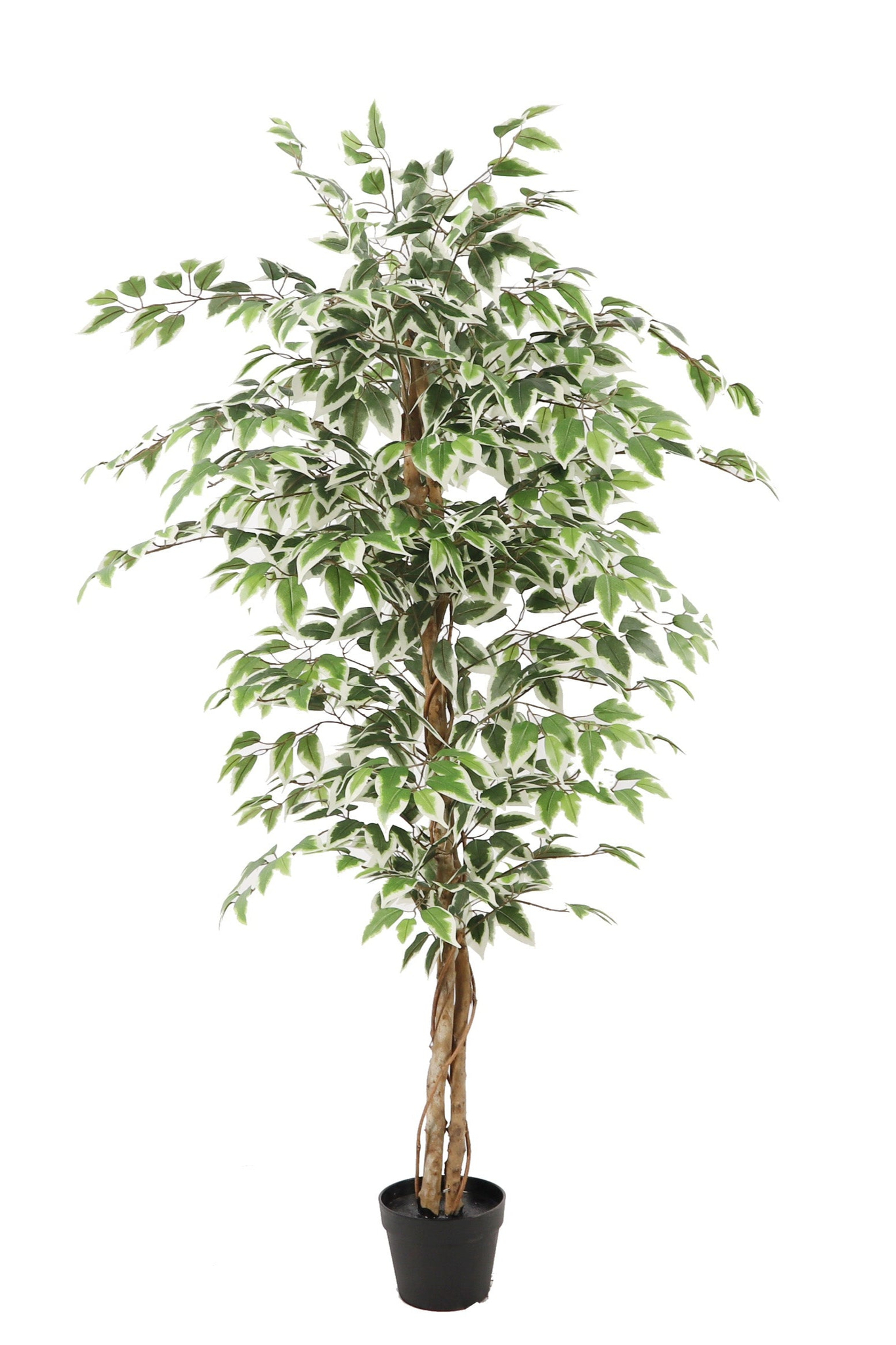 Kunstplant\u0020Ficus\u0020groen\u0020160\u0020cm