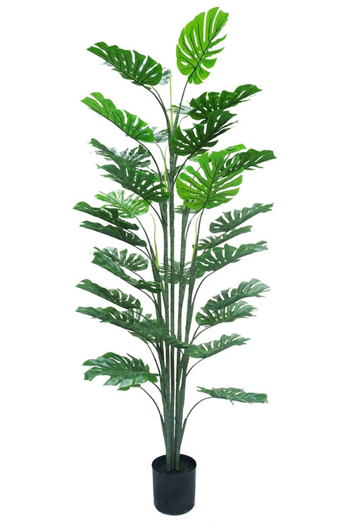 Monstera\u0020kunstplant\u0020160\u0020cm\u0020\u2013\u0020tropisch\u0020Zuid\u002DAmerika