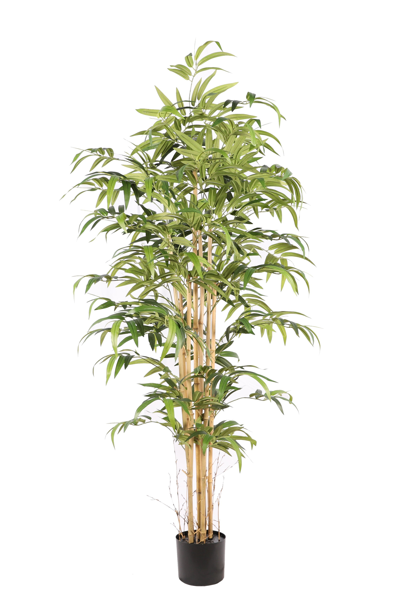 Bamboe\u0020Japanse\u0020kunstplant\u0020180\u0020cm