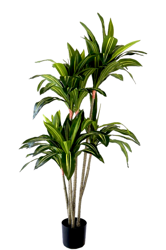 Kunstplant\u0020Dracaena\u0020fragrans\u0020150\u0020cm
