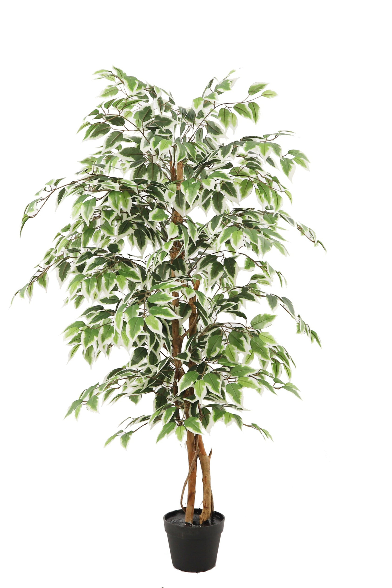 Kunstplant\u0020Ficus\u0020groen\u0020140\u0020cm