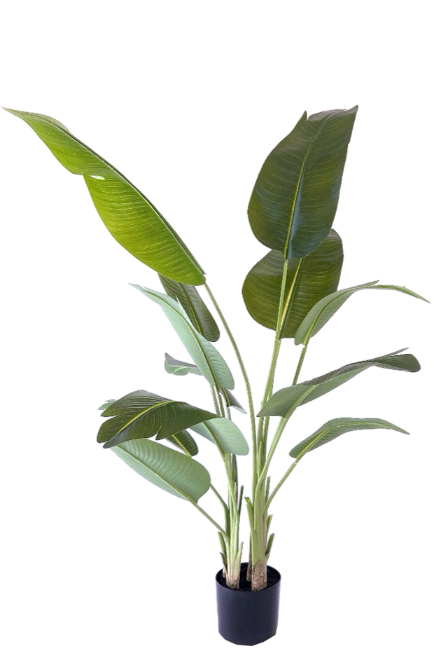 Kunstplant\u0020Strelitzia\u0020200\u0020cm\u0020met\u0020Real\u0020Touch
