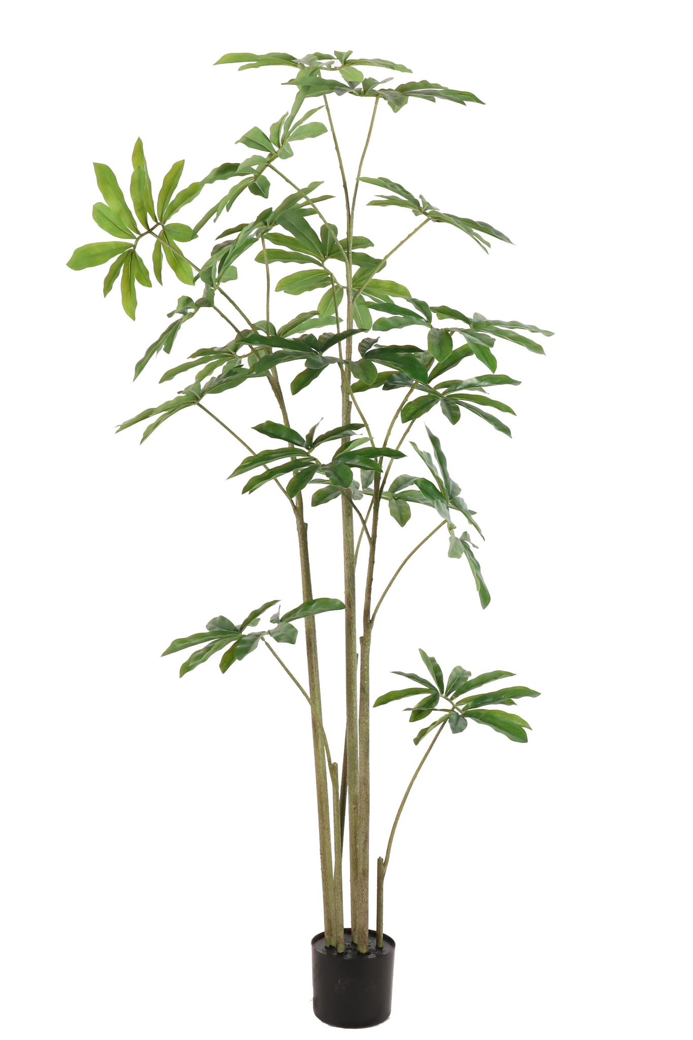 Philodendron\u0020kunstplant\u0020180\u0020cm