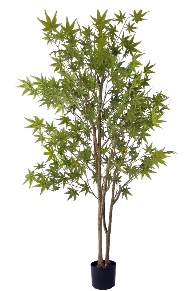 Kunstplant\u0020groene\u0020esdoorn\u0020180\u0020cm Kunstplant\u0020groene\u0020esdoorn\u0020180\u0020cm