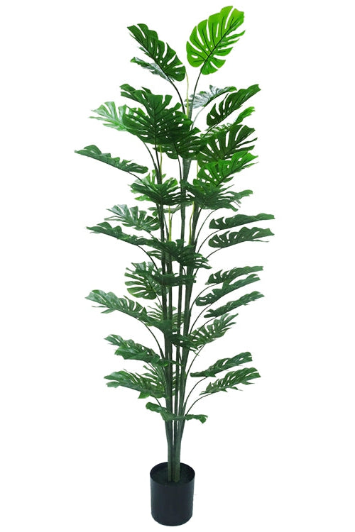Monstera\u0020kunstplant\u0020180\u0020cm\u0020\u2013\u0020Tropisch\u0020Zuid\u002DAmerika
