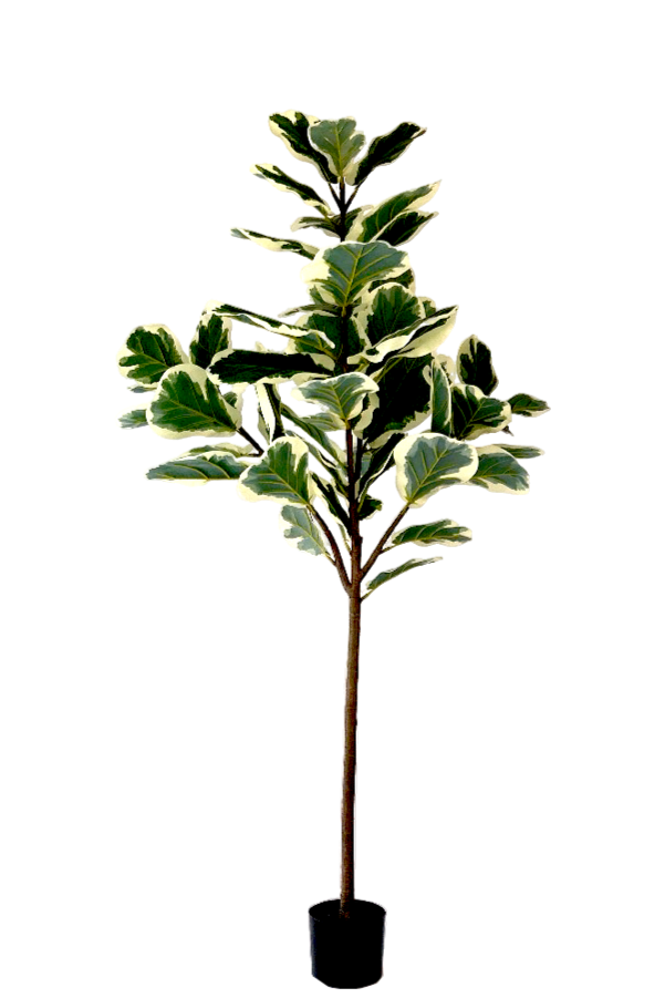 Kunstplant\u0020Ficus\u0020Lyrata\u0020Deluxe\u0020160cm