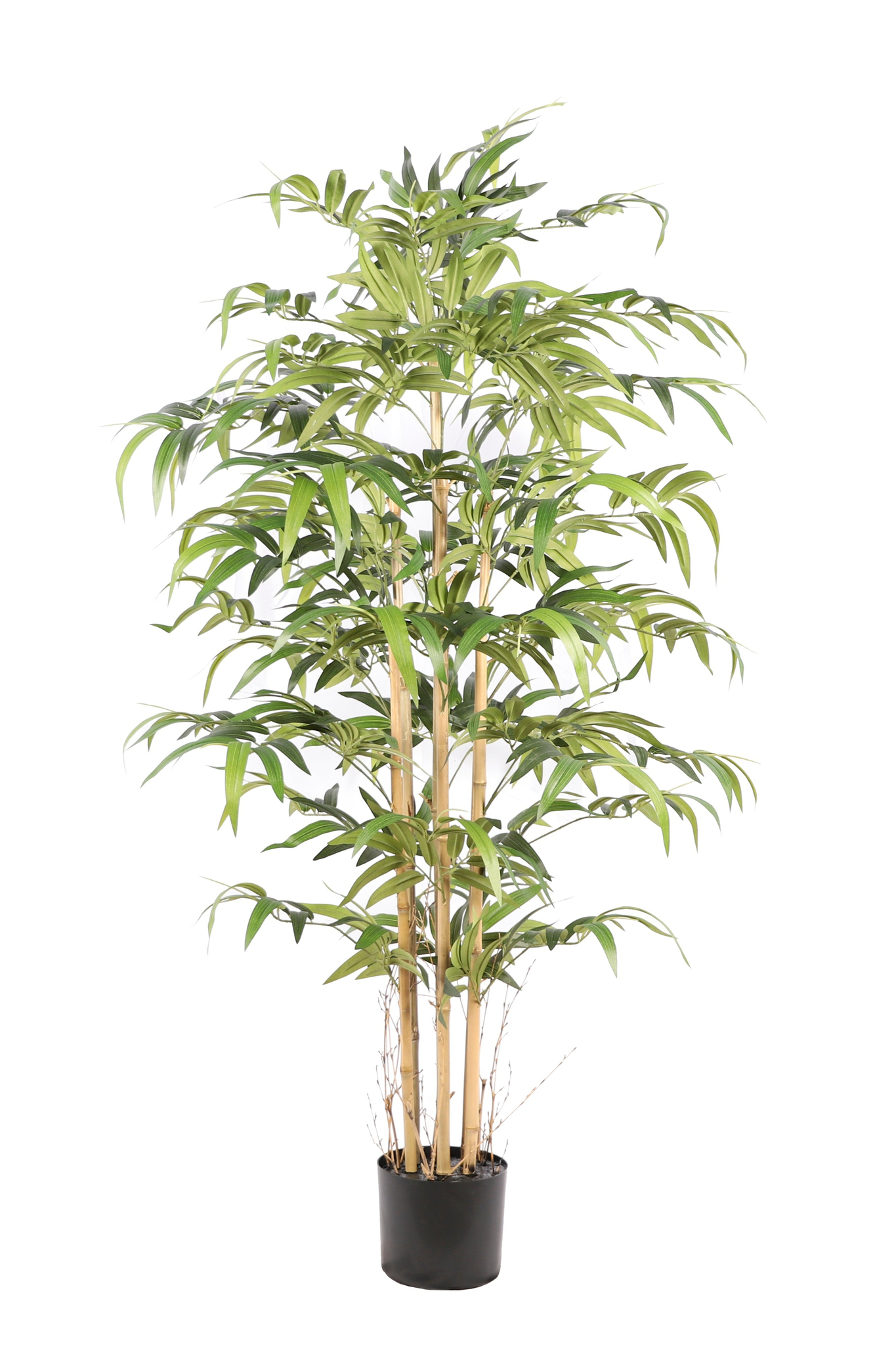 Japanse\u0020bamboe\u0020kunstplant\u0020160\u0020cm