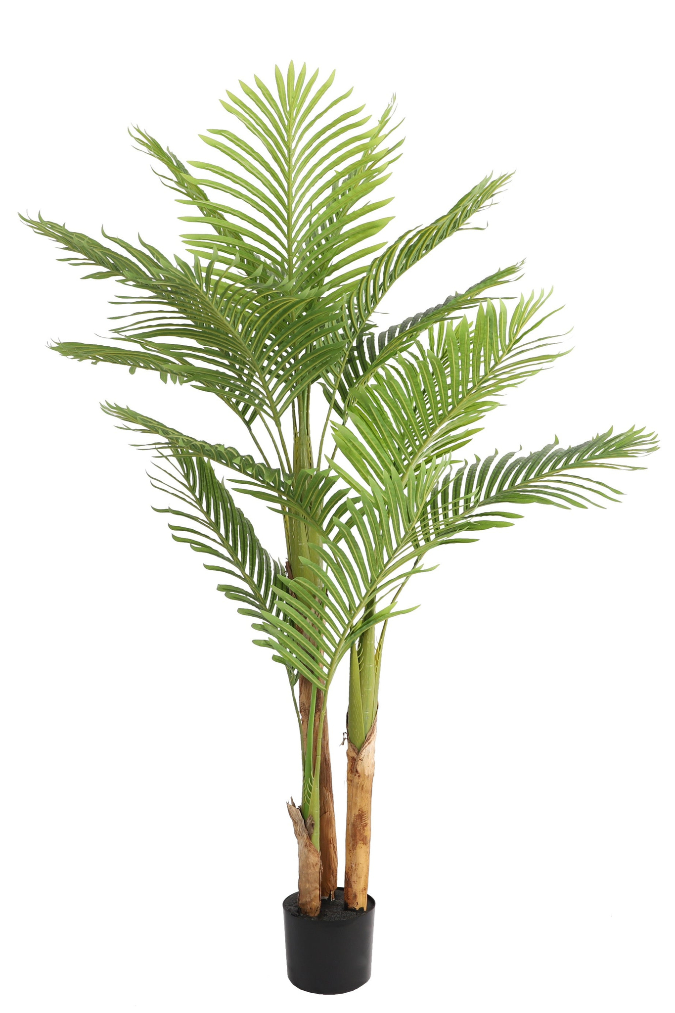 Kentia\u0020palm\u0020kunstplant\u0020170\u0020cm\u0020\u002D\u0020tropisch\u0020ontwerp\u0020voor\u0020binnen