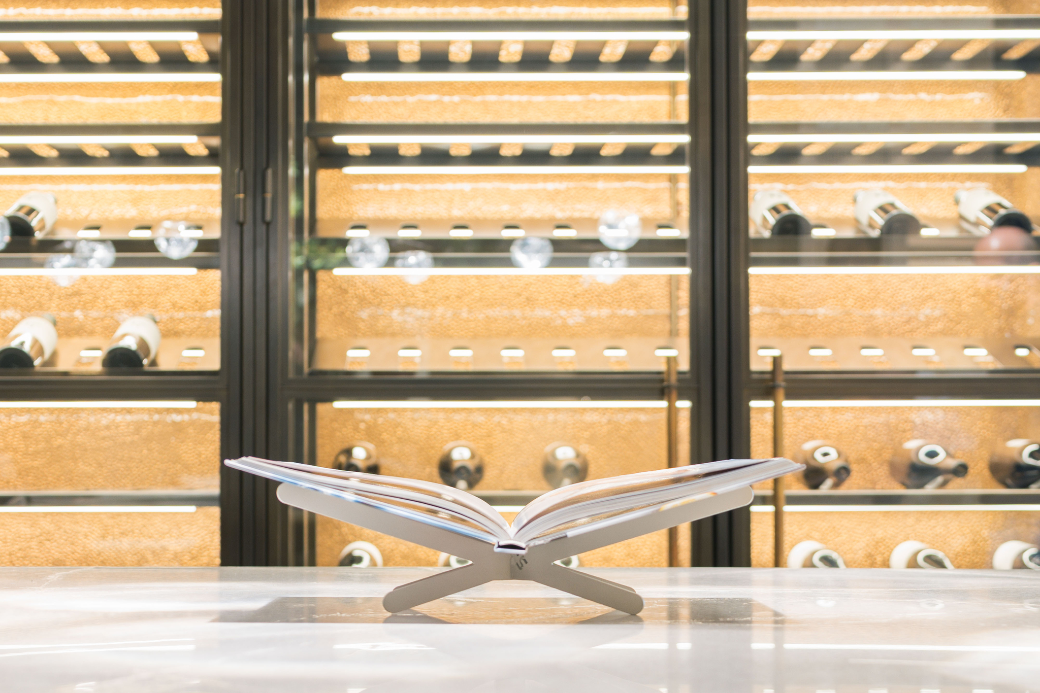 BOOX\u0020Boekenstandaard