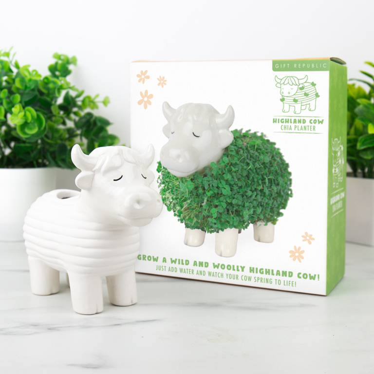 Gift\u0020Republic\u0020Plantenpot\u0020met\u0020chiazaden\u0020\u002D\u0020Schotse\u0020Hooglander Gift\u0020Republic\u0020Plantenpot\u0020met\u0020chiazaden\u0020\u002D\u0020Schotse\u0020Hooglander
