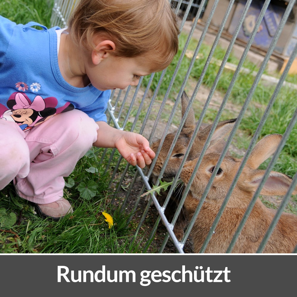 Konijnen\u002FKippenren\u0020180x75x75cm\u0020incl\u0020Zonbescherming Konijnen\u002FKippenren\u0020180x75x75cm\u0020incl\u0020Zonbescherming