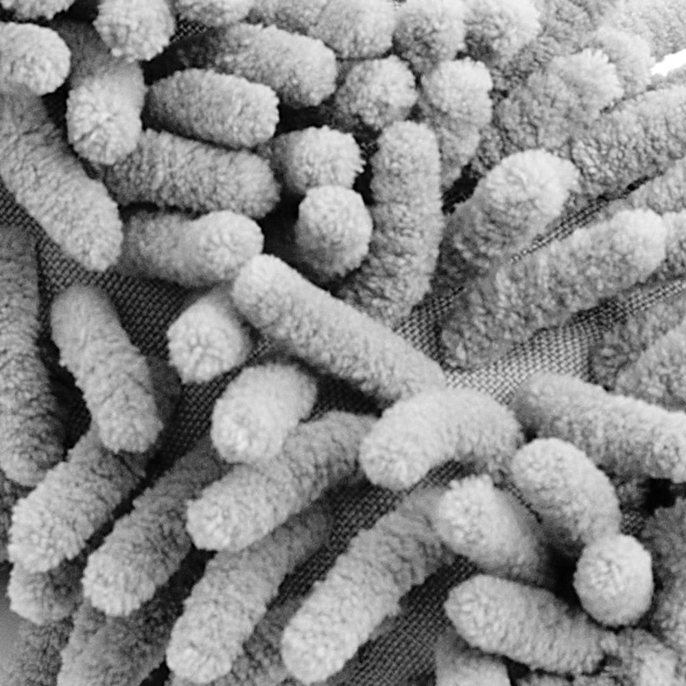Velgenborstel\u0020grijs\u0020microvezel\u002034cm