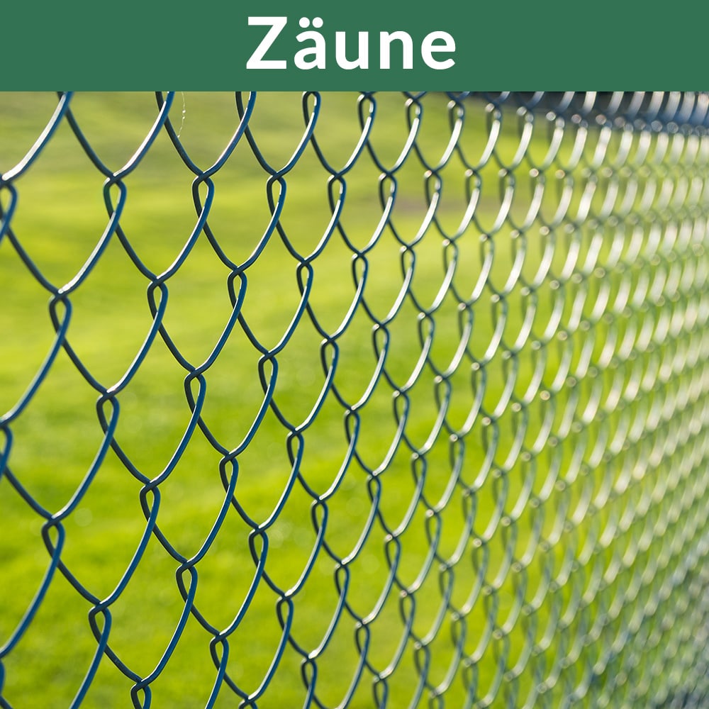 Haringen\u002050\u0020stuks\u0020Staal\u0020\u00F83,5mm\u0020Gegalvaniseerd Haringen\u002050\u0020stuks\u0020Staal\u0020\u00F83,5mm\u0020Gegalvaniseerd