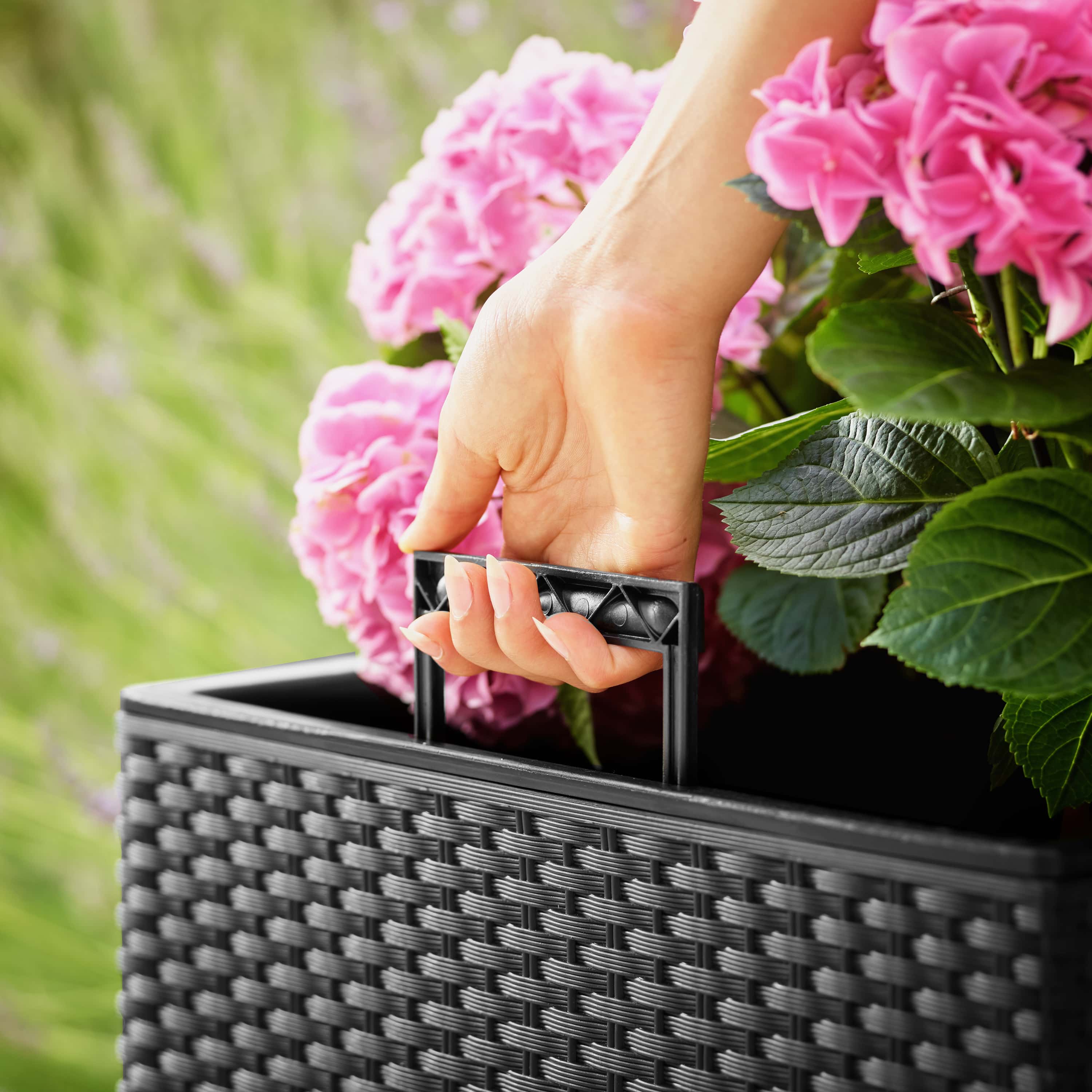 Wicker\u0020Bloempot\u0020Rato\u0020Low\u0020Antraciet\u0020\u002039x39x40,5cm Wicker\u0020Bloempot\u0020Rato\u0020Low\u0020Antraciet\u0020\u002039x39x40,5cm