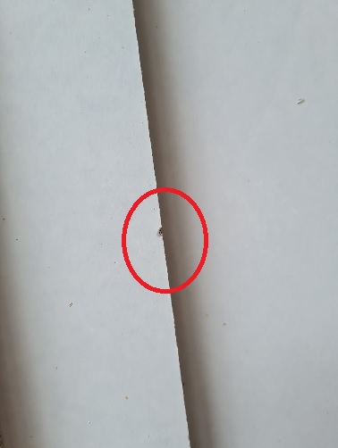 Platenkast\u0020bewerkt\u0020hout\u0020wit\u0020met\u0020lichte\u0020schade