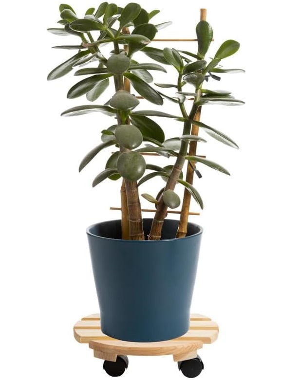 Cti\u0020Plantenroller\u0020\u002D\u0020Plantentrolley\u0020\u002D\u0020Voor\u0020binnen\u0020en\u0020buiten\u0020\u002D\u0020draagvermogen\u0020tot\u002080\u0020kg\u0020\u002D\u0020rond\u002Dvurenhout\u0020\u002D\u002030x30cm