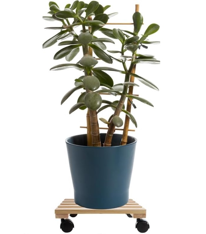 Cti\u0020Plantenroller\u0020\u002D\u0020Plantentrolley\u0020\u002D\u0020Voor\u0020binnen\u0020en\u0020buiten\u0020\u002D\u0020draagvermogen\u0020tot\u002080\u0020kg\u0020\u002D\u0020vierkant\u002Dvurenhout\u0020\u002D\u002030x30cm
