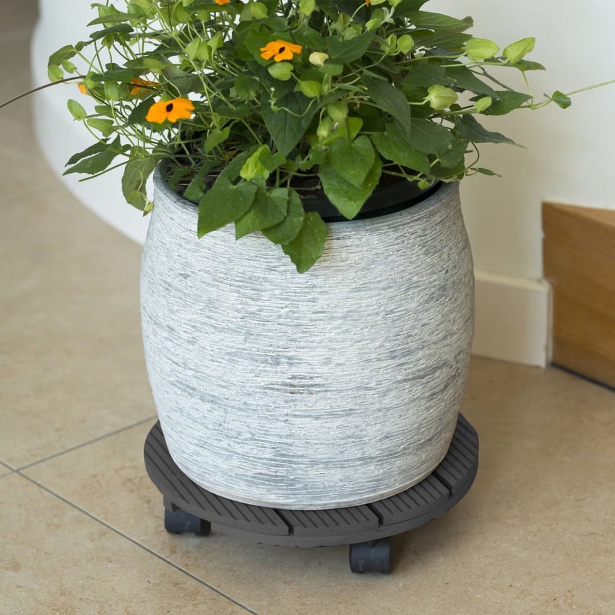 Plantenroller\u0020\u002D\u0020Plantentrolley\u0020\u002D\u0020Voor\u0020binnen\u0020en\u0020buiten\u0020\u002D\u0020draagvermogen\u0020tot\u002050\u0020kg\u0020\u002D\u0020rond\u002Dantraciet\u0020\u002D\u002030x30cm Plantenroller\u0020\u002D\u0020Plantentrolley\u0020\u002D\u0020Voor\u0020binnen\u0020en\u0020buiten\u0020\u002D\u0020draagvermogen\u0020tot\u002050\u0020kg\u0020\u002D\u0020rond\u002Dantraciet\u0020\u002D\u002030x30cm